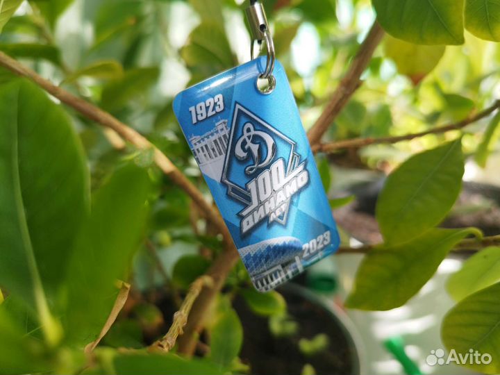 Брелок Тройка Динамо