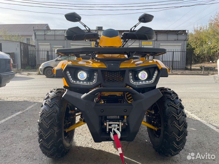 Avantis hunter 200 BIG LUX (баланс. вал)