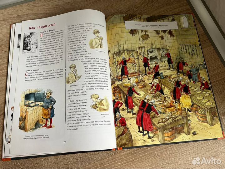 Рыцарский дневник. Записки Тобиаса Бургесса Платт