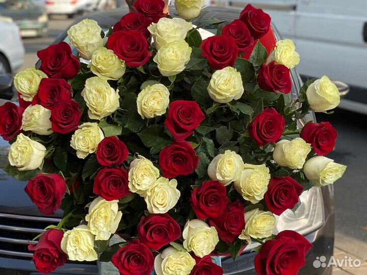 15 роз 51 25 31 25 Розы Цветы доставка