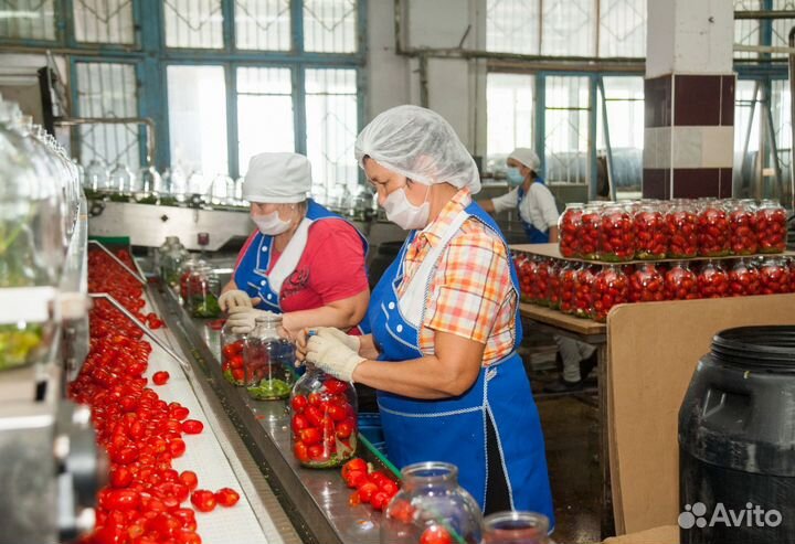 Разнорабочие на вахту Краснодарский край