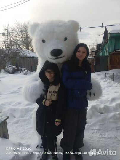 Белый мишка поздравление ростовой медведь аниматор