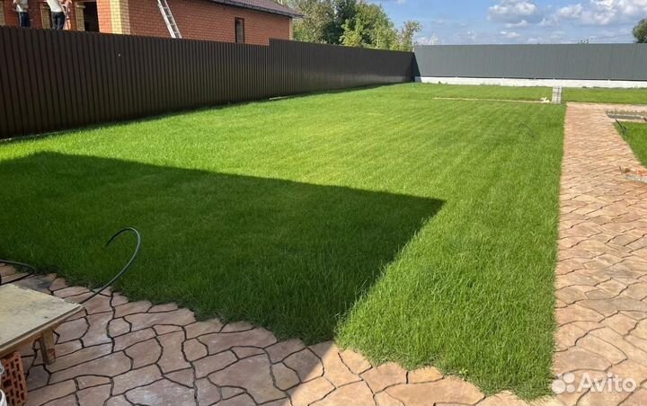 Рулонный газон «Премиум» с укладкой