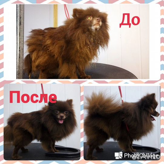 Груминг рядом)
