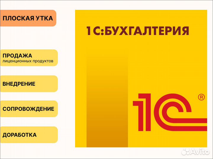 Пpoграммиcт 1С/Автoматизация 1С/Внeдрeние 1С