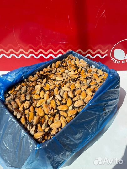 Мясо мидий 100-200