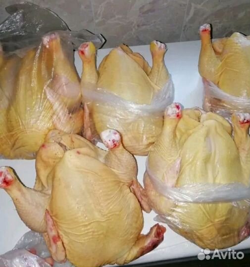 Мясо домашней курицы