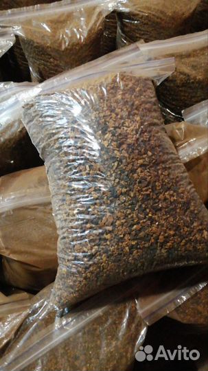 Березовый гриб чага