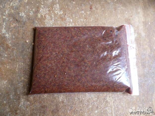 Корм для рыб артемия, мотыль