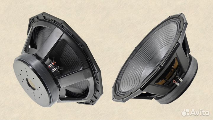 Динамики 21 дюйм 2500/5000 вт aes