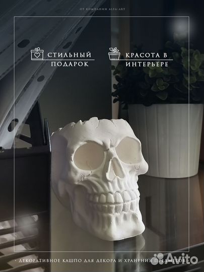 Кашпо Череп для суккулентов голова из гипса