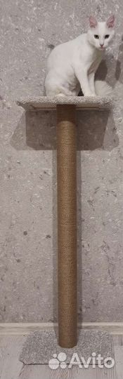Когтеточка для кошек новая
