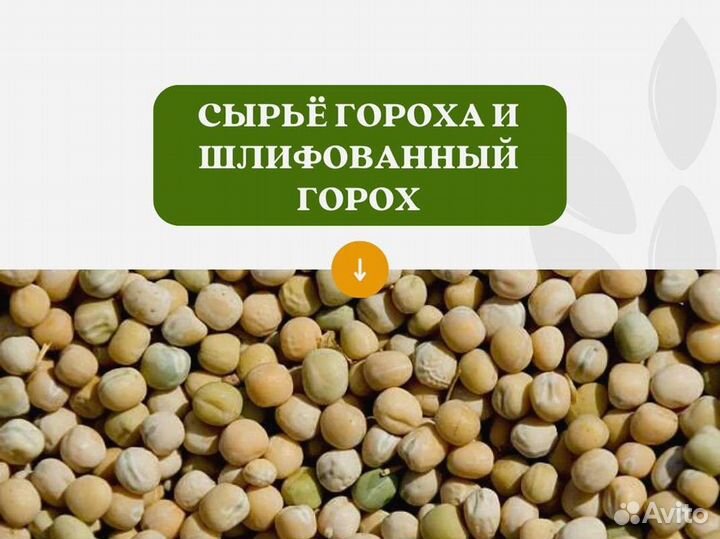 Горох с поля (сырье) (кг)