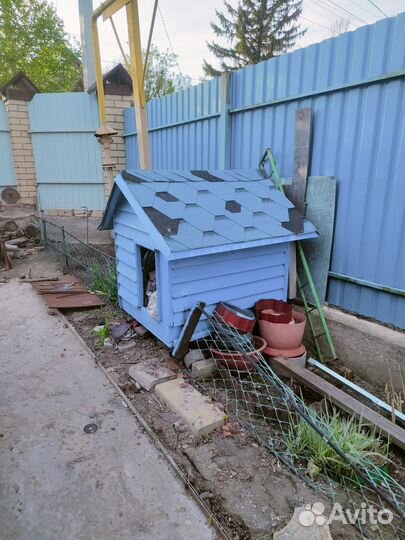 Собачья будка