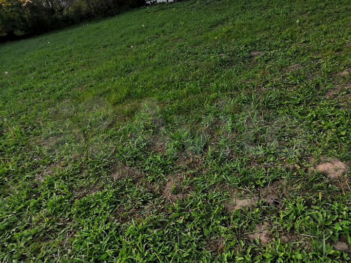 Участок 6,5 сот. (СНТ, ДНП)