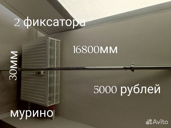 Гриф; штанга