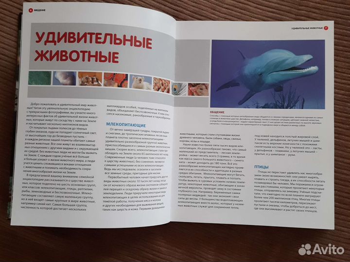 Детская энциклопедия