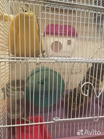 Клетка для хомяка