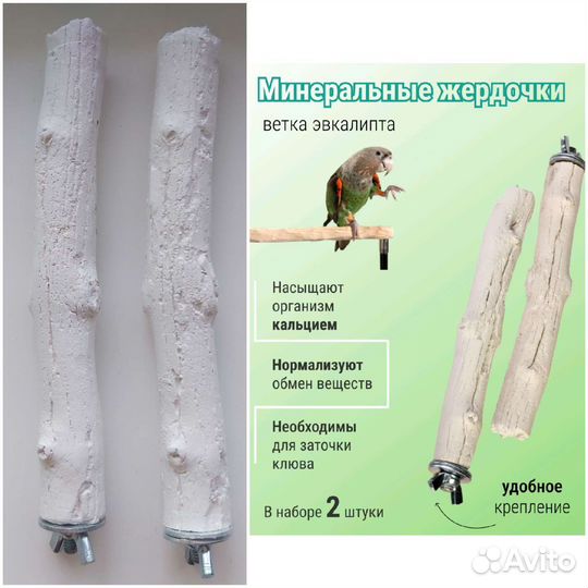 Всё необходимое для попугаев или небольших птиц