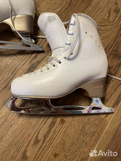 Фигурные коньки edea chorus 230