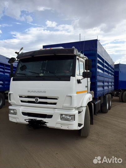 КамАЗ 65115, 2019