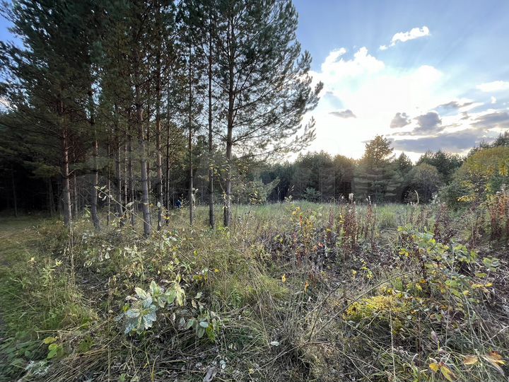 Участок 11,5 сот. (СНТ, ДНП)