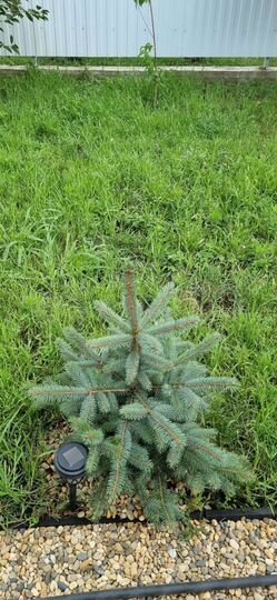 Дом 122 м² на участке 6 сот.