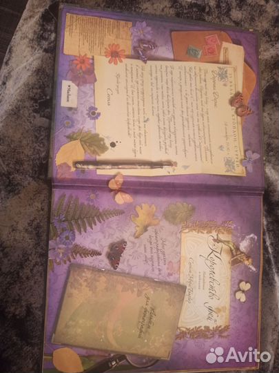 Королевство фей книга