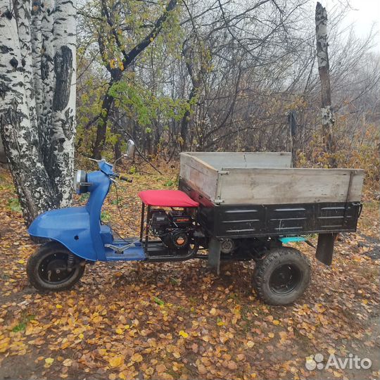 Мураш