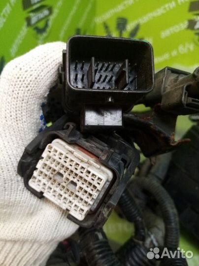 Коса моторного отсека Honda Accord 8 CP1 2.4 K24Z3