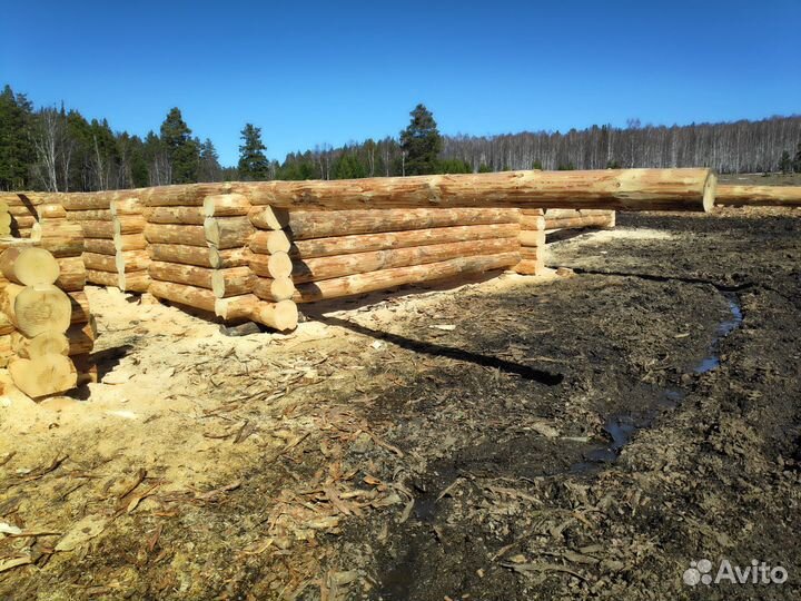 Качественный Сруб бани 7х7 зимний лес ручная рубка