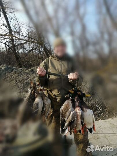 Организация охоты