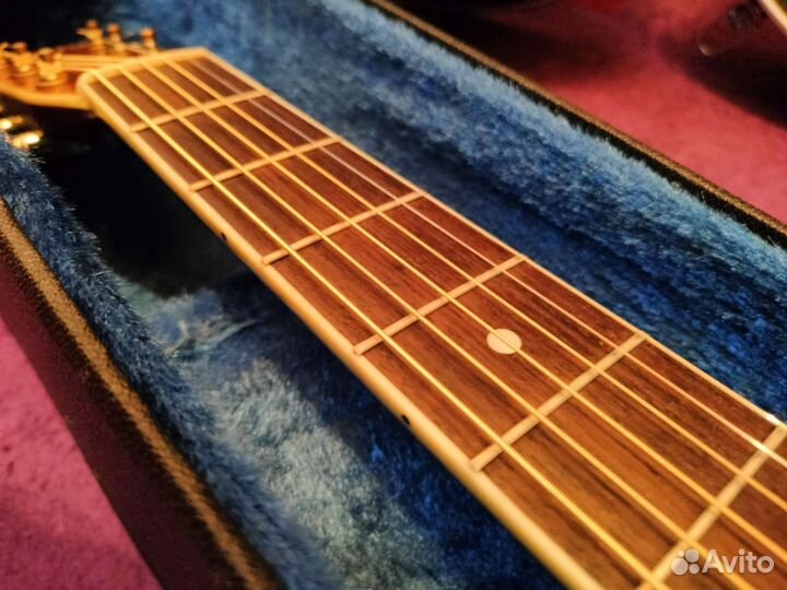 Акустическая гитара Morris md 515