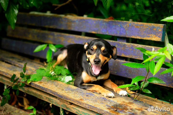 Славная в поисках семьи