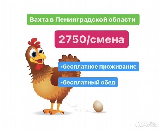 Фасовщик яиц Вахтовый метод