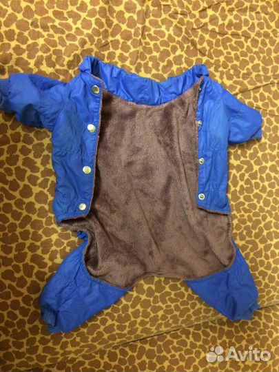 Одежда для собак