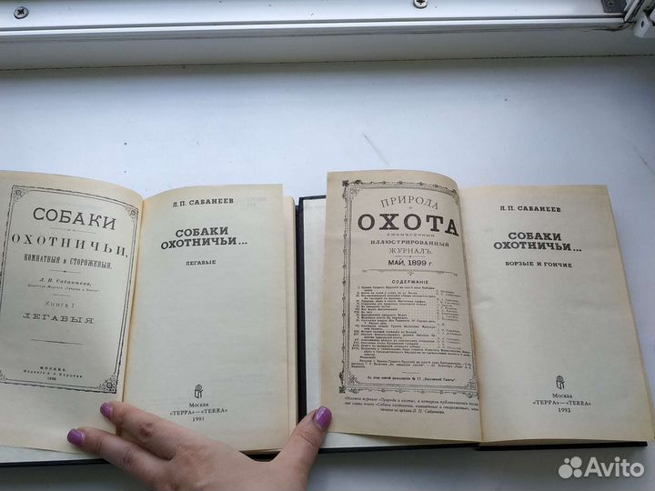 Сабанеев борзые и гончие легавые календарь природы