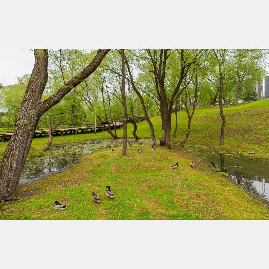 Квартира-студия, 19 м², 4/19 эт.