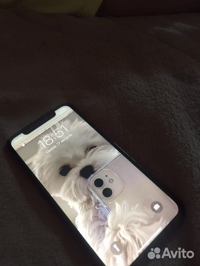 iPhone 1164 гб