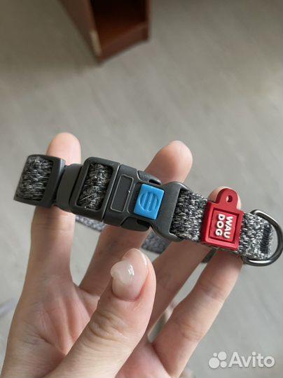 Ошейник для собак