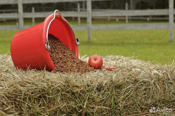 Корм для крс, птиц и других животных опт