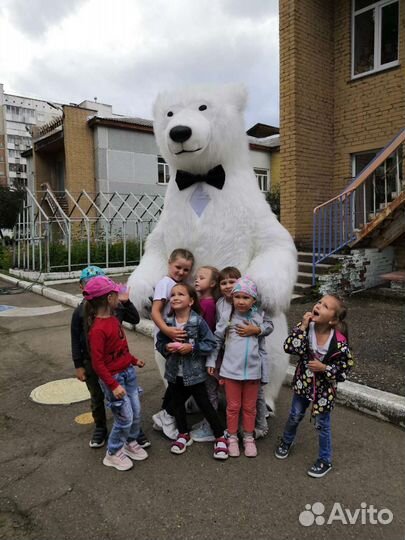 Белый мишка поздравление