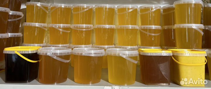 Мед 2023 (доставка)