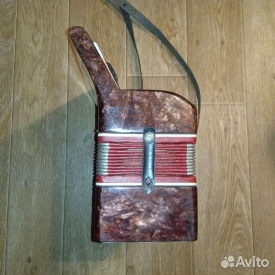 Детский аккордеон 