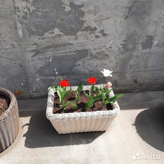 Кашпо из ротанга