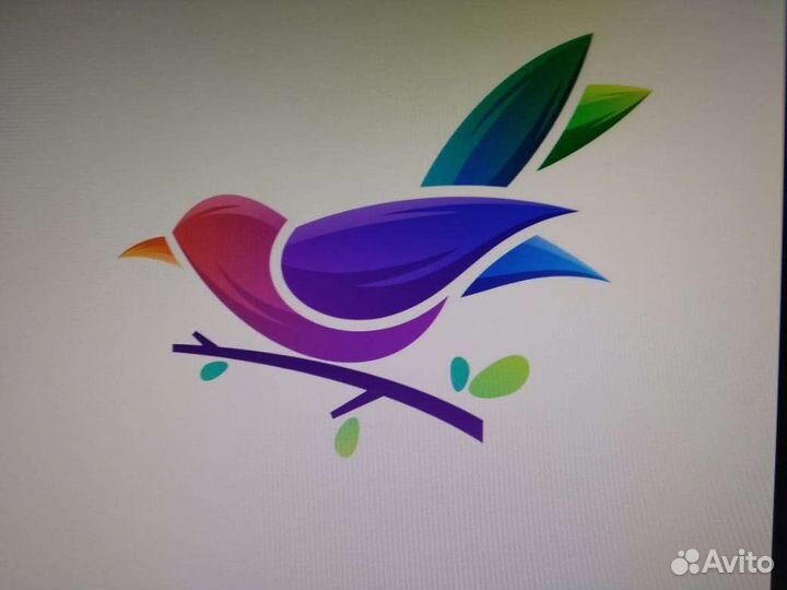 Декоративные птицы