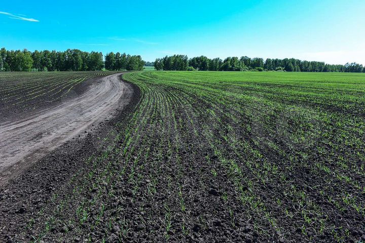 Участок 6,4 га (СНТ, ДНП)