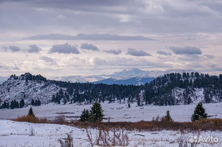 Экскурсия — Горно-Алтайск — Отдыхаем на Алтае: при