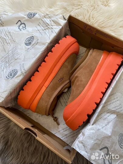 Угг Женские Ugg Tasman Hybrid Chestnut / Orange