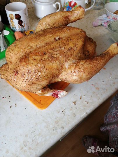 Мясо бройлера